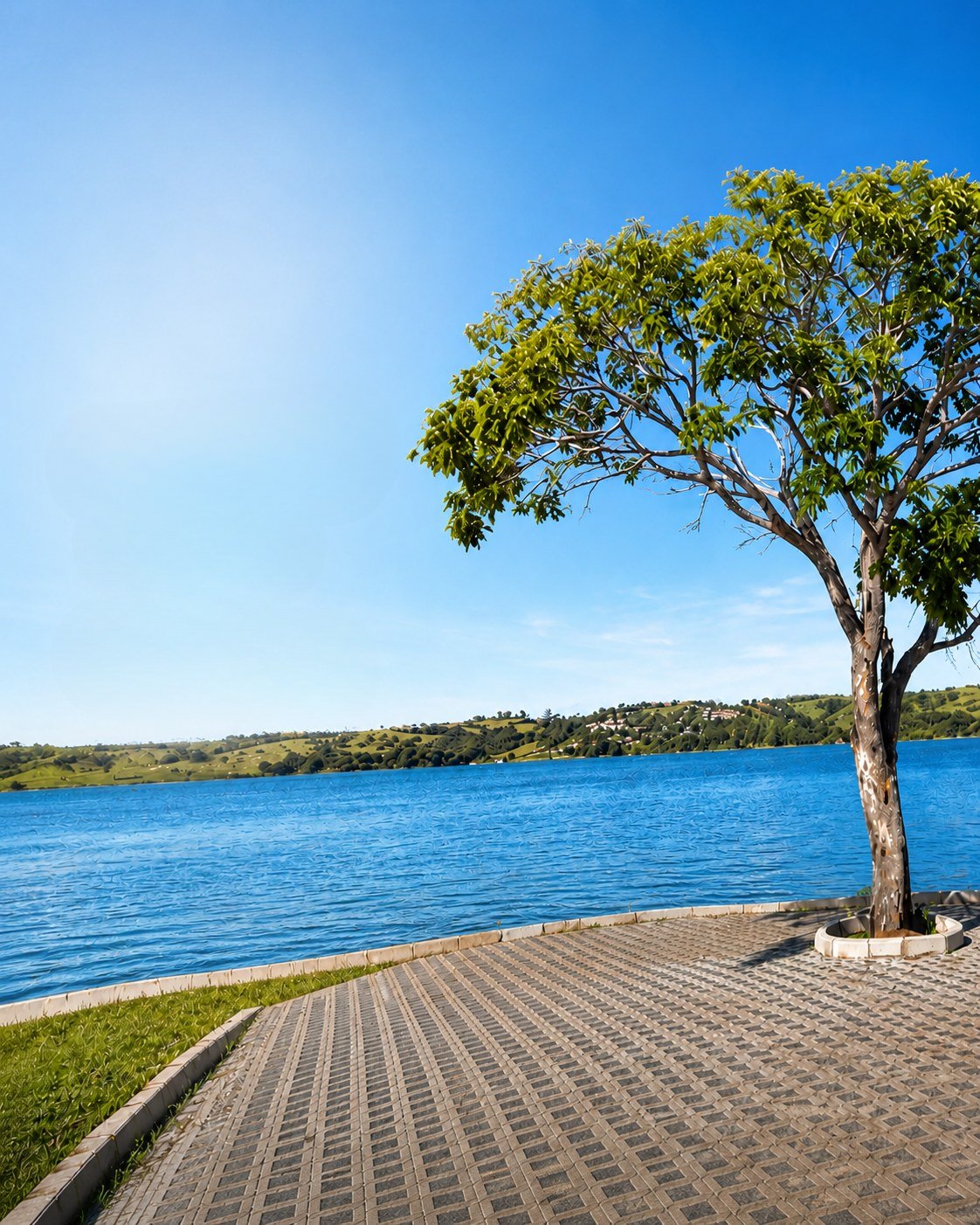 Deck arborizado com vista para o lago